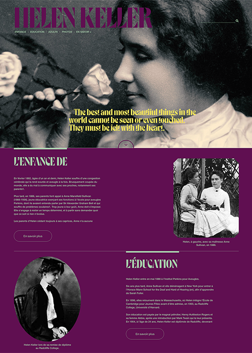 Web Design