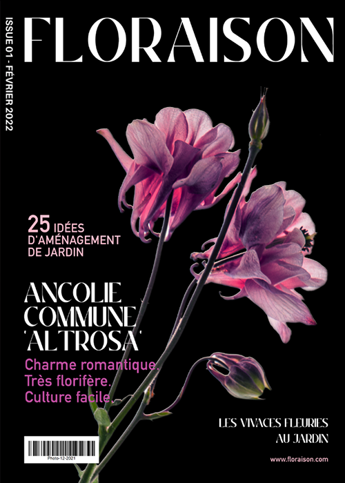 couverture design